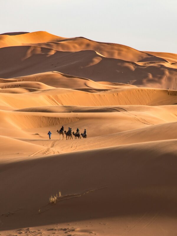 Ouarzazate to Merzouga Desert Tour