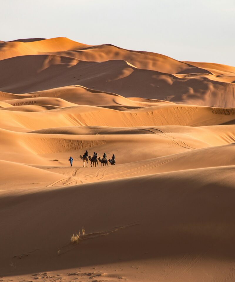 Ouarzazate to Merzouga Desert Tour